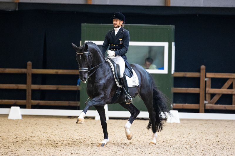 Dressage riders prepare for top meeting