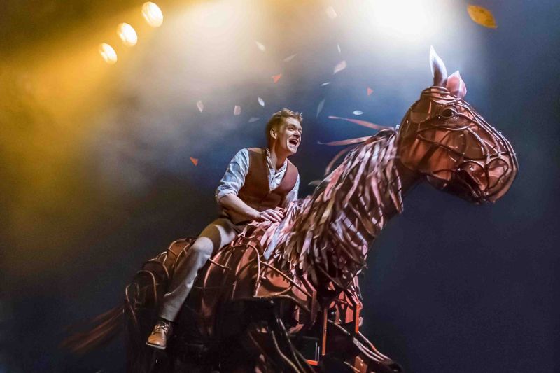 Indoor Brabant presents: War Horse
